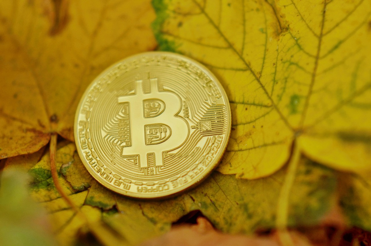 短视频SEO教程，提升视频排名与可见度的策略