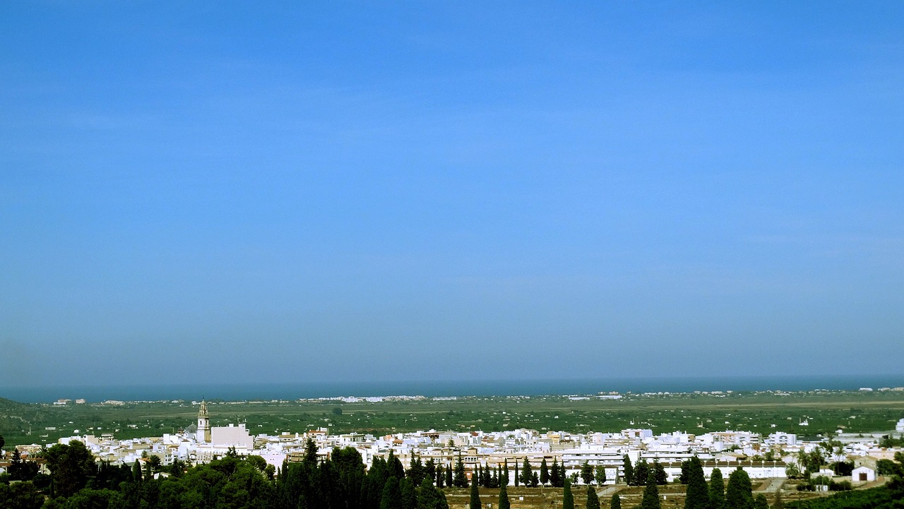 小说百度指数在线查询，洞察小说市场动态
